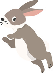 Cute rabbits, wild animals and pets, Easter
