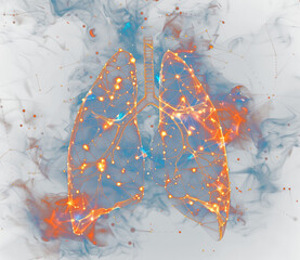 Lungs human