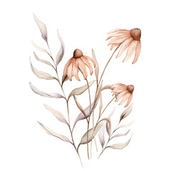 Watercolor bouquet botanical autumn illustration echinacea branches flowers and herbs. Autumn floral illustration. Hand painted drawing isolated on white background. Floral composition pastel color