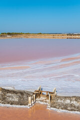 Salt industry. Salt flower. Industrial exploitation of salt growing in the pools of seawater between the marshes on the Atlantic coast.