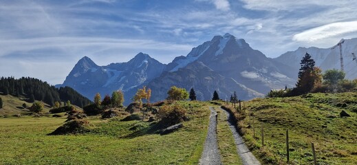 alpine hiking trail