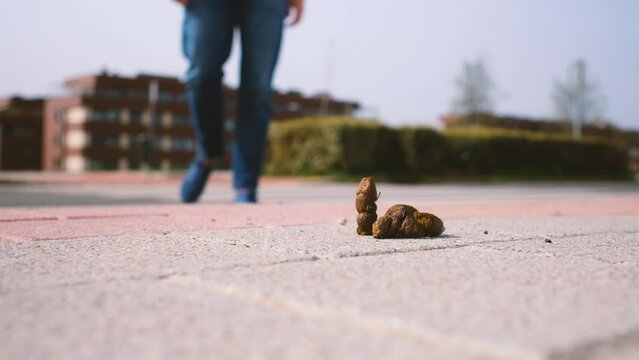 A man steps in dog poop that his owner has not picked up. It is an urban scene and the movement of the city can be seen out of focus. Urban cleanliness, pets and education.