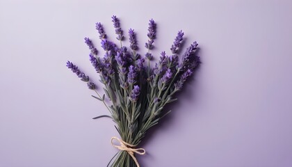 Minimalistic purple background with lavender 