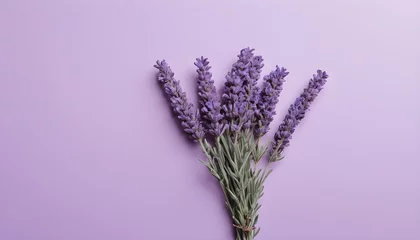 Foto op Canvas Minimalistic purple background with lavender  © Gia