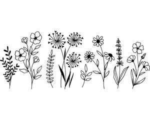 Fototapeta na wymiar Wildflower Outline Illustration, Easter Spring Floral Illustration