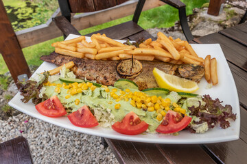 Plate of grilled trout with fries and salad in a restaurant in Kamienczyk village, Poland - 765762425