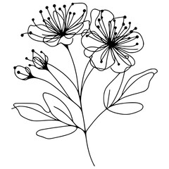 Wildflower Outline Illustration, Easter Spring Floral Illustration