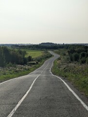 Asphalt road cutting through a field with trees, under the open sky