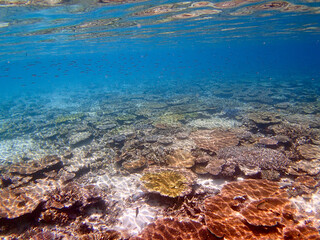 沖縄・宮古島の沖合、八重干瀬の美しいサンゴ礁