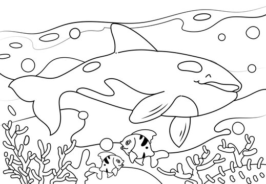 Whale Coloring Page Colored Illustration. Printable Coloring book Outline black and white.