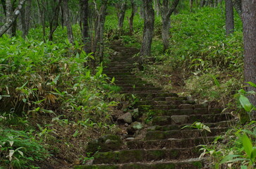 栃木県那須連山の日の出平、南端白笠山の間にある沼ッ原湿原にあるハイキングコース