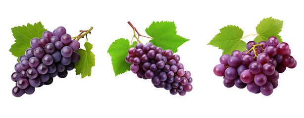 Set of grapes purple and leaves ivy transparent background.