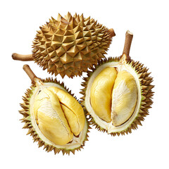 Delicious well ripe durian fruit on an isolated background