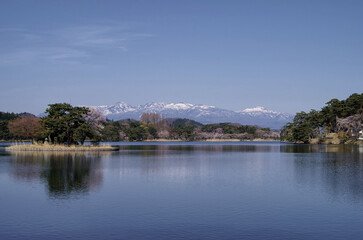 Fototapeta na wymiar 福島県　南湖公園の桜。遠くに見えるのは那須連山。