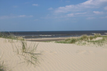 Sanddünen am Strand der Nordsee in Holland bei Noordwijk