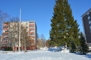 Bright winter weather in the small town of Varkaus, Finland. A lot of white snow, large green fir...