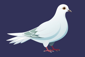 give-the-white-couple-vector-of-the-pigeon.
