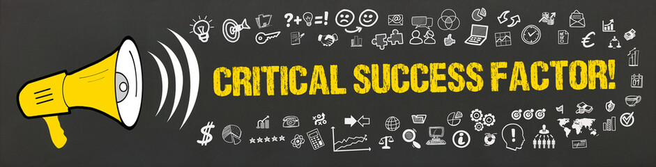 Critical Success Factor! - obrazy, fototapety, plakaty