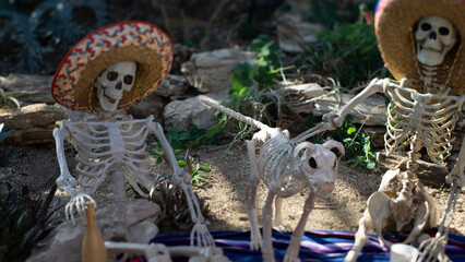 a family of skeletons