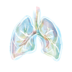 Płuca. Układ oddechowy  - obrazy, fototapety, plakaty