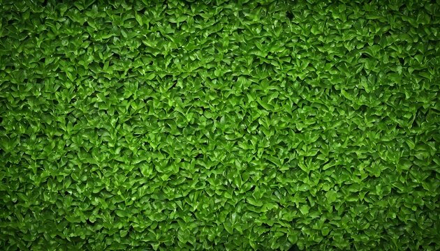 a green plant background