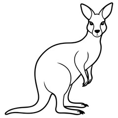 Illustration of a kangaroo  on a transparent background