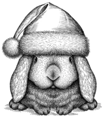 Foto op Aluminium Vintage engraving isolated rabbit set dressed christmas illustration hare ink santa costume sketch. Easter bunny background jackrabbit silhouette new year hat art. Black and white image © Turaev