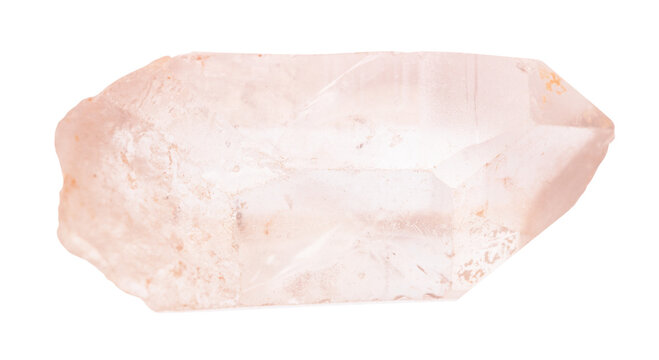 close up of sample of natural stone from geological collection - raw rose quartz crystal isolated on white background