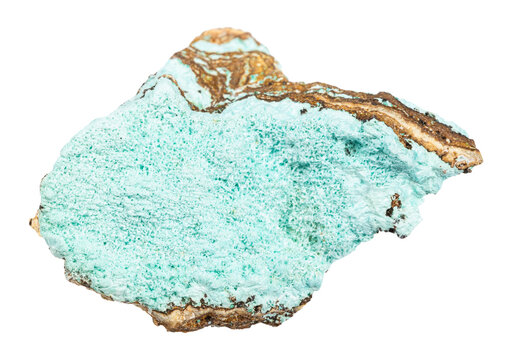 close up of sample of natural stone from geological collection - unpolished aurichalcite mineral isolated on white background from Dalnegorsk, Primorye