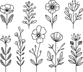Flower and pot outline vector, Floral Decoration Branch Leaf.