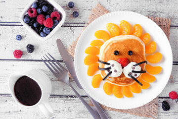 Obraz na płótnie Canvas Cute child theme breakfast pancake in the shape of a lion face. Overhead view table scene on a white wood background.