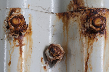 Rusting screws holding corrugated sheets together testify to transience and connection.