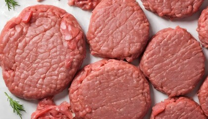 Raw homemade hamburger meat