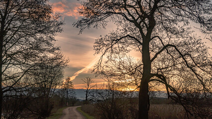 Sunrise over meadows and forest in Podlasie on a spring day in march.