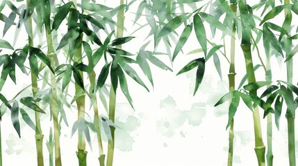 Tranquil watercolor clipart of a bamboo forest, serene and green, isolated on white background for Zeninspired designs