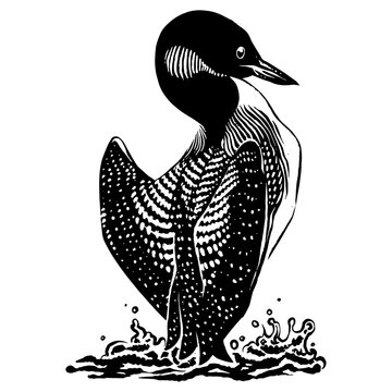 recommend clip art: Loon_Vector_Bird