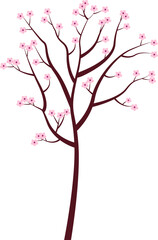 A blossom tree. Spring. Vector illustration.  Transparent background