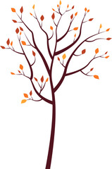 A tree with orange and red leaves in autumn. Indian summer. Vector illustration.  Transparent background