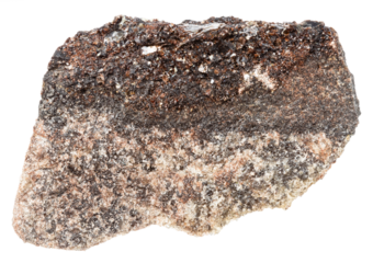 close up of sample of natural stone from geological collection - unpolished phlogopite mineral isolated on white background from Kola Peninsula