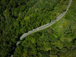 Forest road, Aerial view car in the forest on asphalt road, Car in rural road in deep rain forest with green tree forest view from above, Ecosystem ecology healthy environment road trip travel.