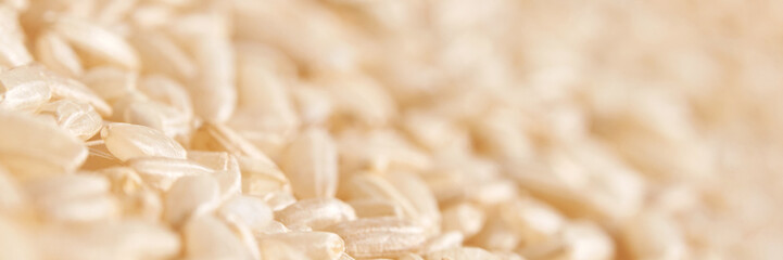 A background of dry brown rice grains showcases the integral, uncooked basmati texture. The macro view highlights the raw nature of this organic, whole food. Horizontal banner - obrazy, fototapety, plakaty