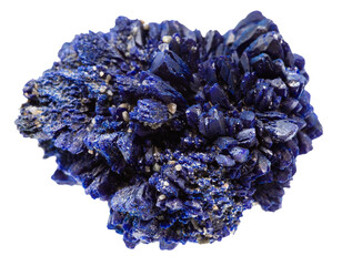 close up of sample of natural stone from geological collection - druse of rough azurite crystals...