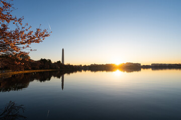 The Tidal Basin in Washington D.C. at sunrise during Peak Cherry Blossom Bloom.