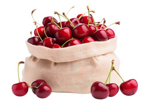 Ripe red cherries in a burlap sack, cut out