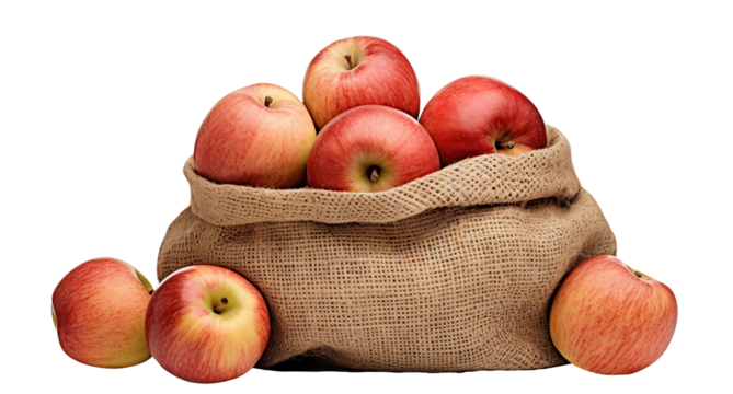 Fresh red apples in a burlap sack, cut out