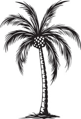 Fototapeta premium Palm Tree Silhouettes 