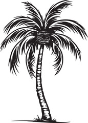 Palm Tree  Silhouettes 