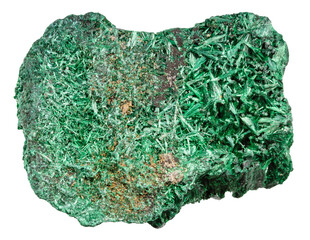 close up of sample of natural stone from geological collection - rough velvet malachite mineral...