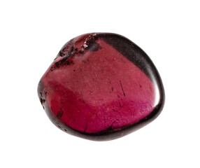 close up of sample of natural stone from geological collection - polished pyrope mineral isolated on white background from Ural