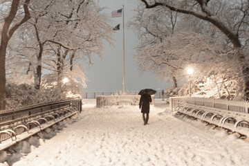 Snow falling on the Brooklyn Promenade on a winter day